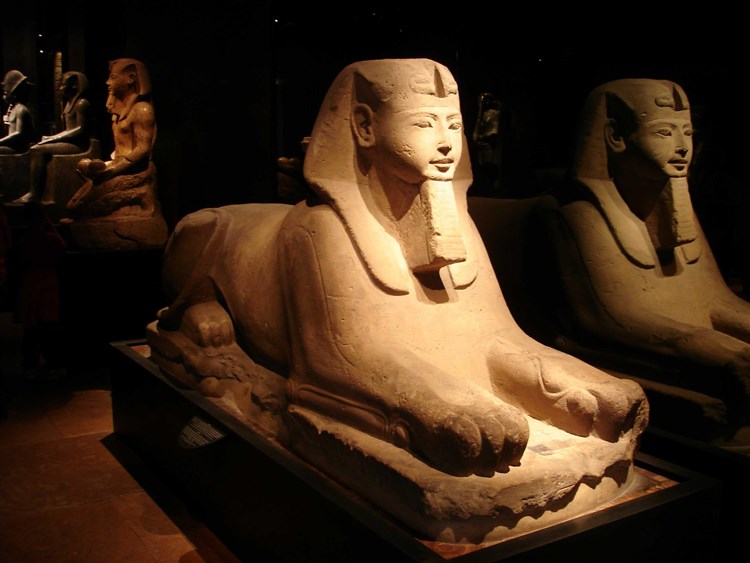 sfingi museo Egizio torino